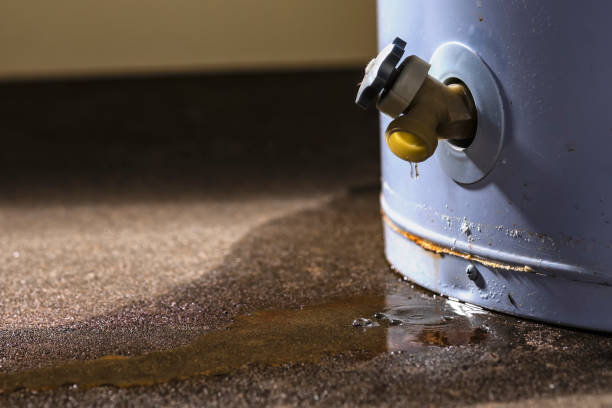 Best Mold removal after water damage  in Hurley, NM