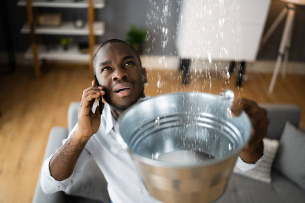 Best Flood damage cleanup  in Hurley, NM