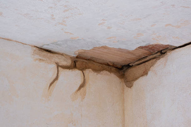 Best Fire Damage Restoration  in Hurley, NM