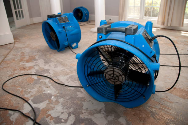 Best Commercial water damage restoration  in Hurley, NM