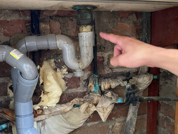 Best Water damage restoration cost  in Hurley, NM