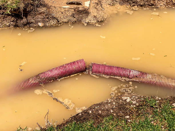 Best 24/7 water damage repair  in Hurley, NM